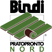 Bindi Pratopronto Nord